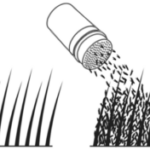 Application de la poudre densifiante pour cheveux